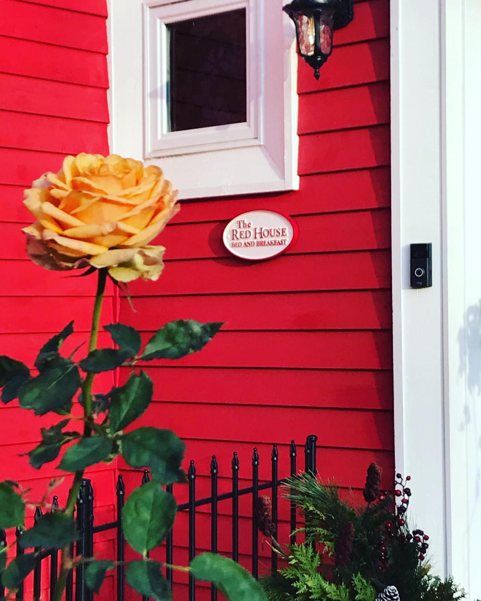 The Red House Fredericton Bed & Breakfast Ngoại thất bức ảnh